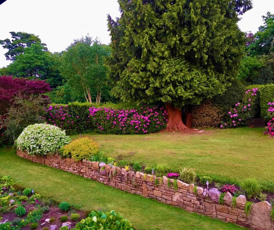 Ranmore Rise Retreat In The Surrey Hills Dorking Eksteriør billede